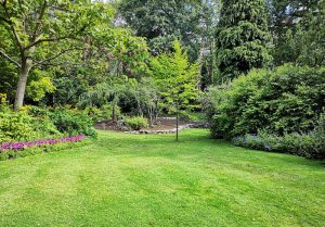 Optimiser l'expérience du jardin à Saint-Geniez-ô-Merle